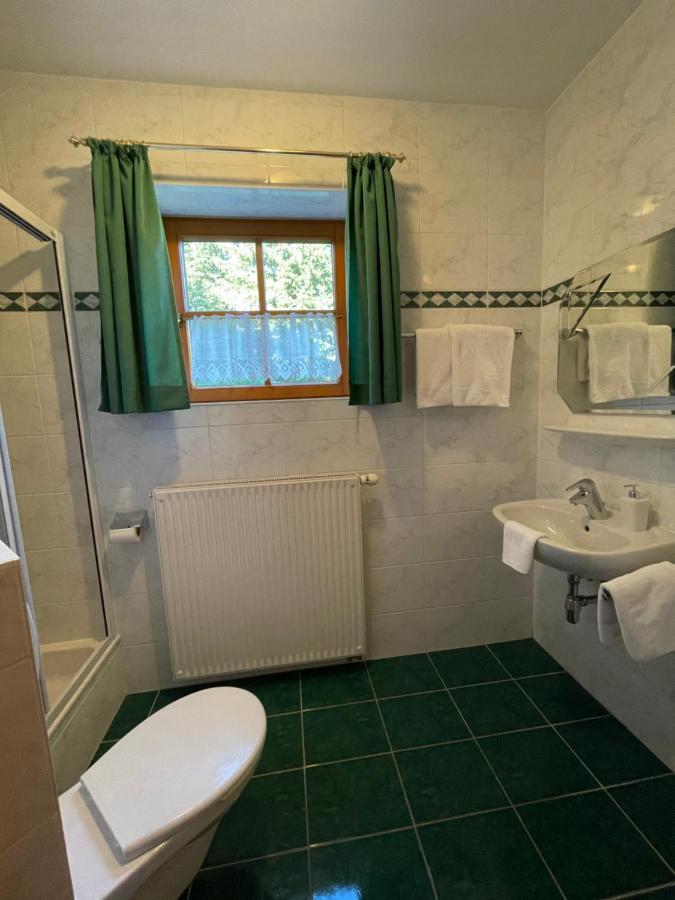 Ferienhaus Alpenblick Krakauschatten Dış mekan fotoğraf