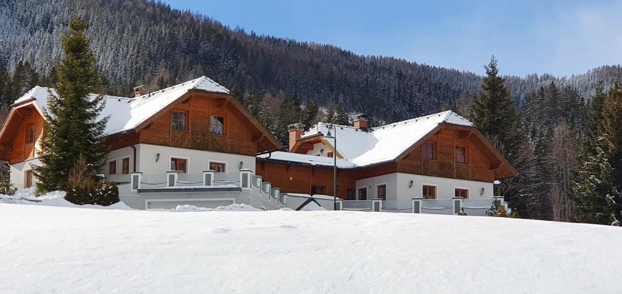 Ferienhaus Alpenblick Krakauschatten Dış mekan fotoğraf
